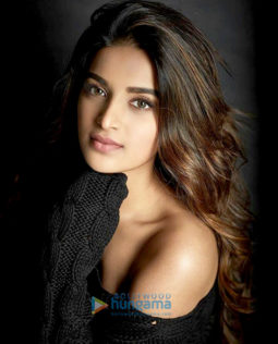 Celebrity Photos of Nidhhi Agerwal